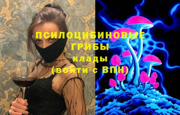 соль ск Киреевск