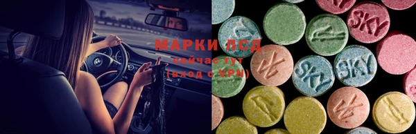 a pvp Киренск
