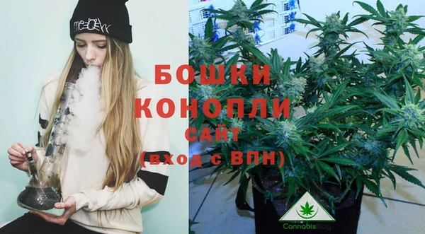 крисы Кинешма