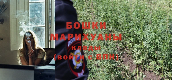 крисы Кинешма